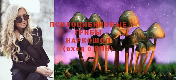 mix Алексин