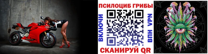 Псилоцибиновые грибы Psilocybine cubensis  закладка  OMG онион  Салават 