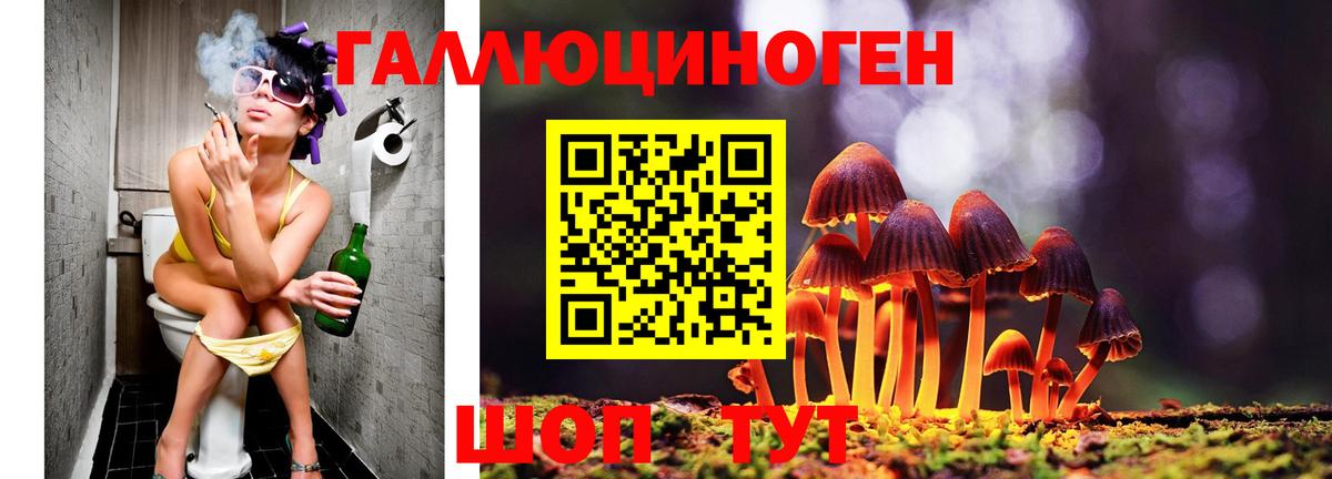 Галлюциногенные грибы Psilocybe  купить наркотики цена  Салават  Вход с VPN 